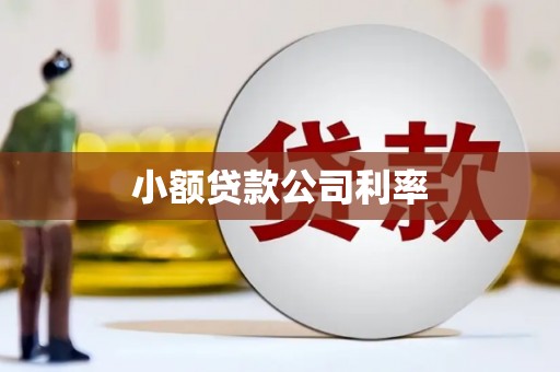 龙岗小额贷款公司利率