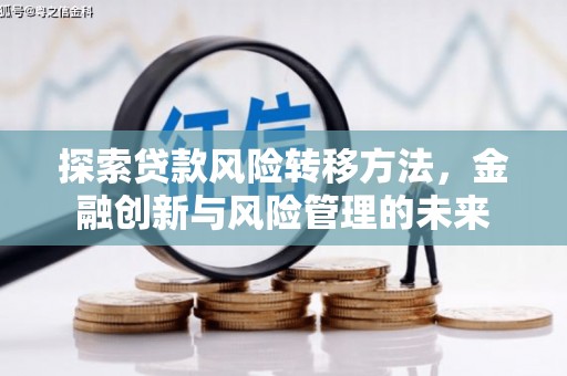 龙岗探索贷款风险转移方法，金融创新与风险管理的未来