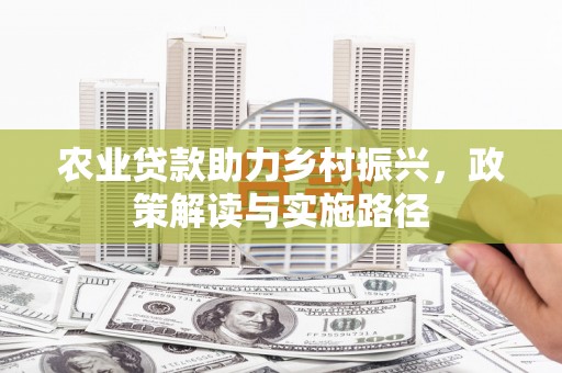 龙岗农业贷款助力乡村振兴，政策解读与实施路径
