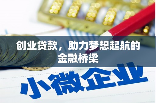 龙岗创业贷款，助力梦想起航的金融桥梁