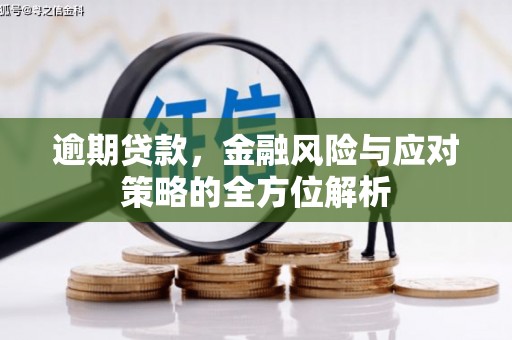 龙岗逾期贷款，金融风险与应对策略的全方位解析