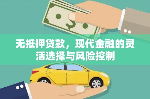龙岗无抵押贷款，现代金融的灵活选择与风险控制