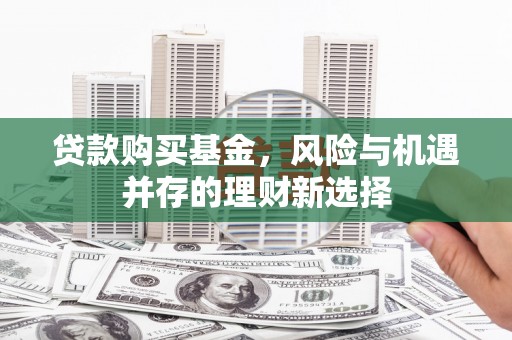 龙岗贷款购买基金，风险与机遇并存的理财新选择