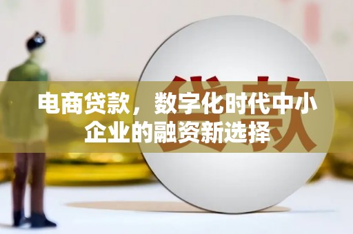 龙岗电商贷款，数字化时代中小企业的融资新选择