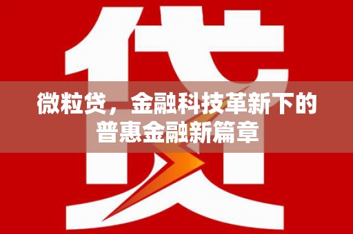 龙岗微粒贷，金融科技革新下的普惠金融新篇章