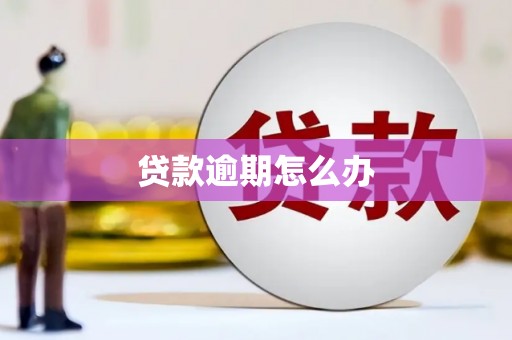 龙岗贷款逾期怎么办