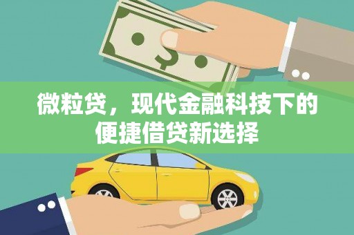 龙岗微粒贷，现代金融科技下的便捷借贷新选择