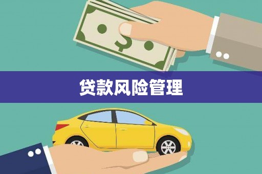 龙岗贷款风险管理