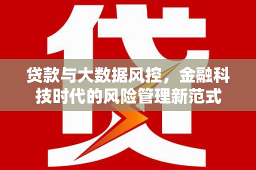 龙岗贷款与大数据风控，金融科技时代的风险管理新范式