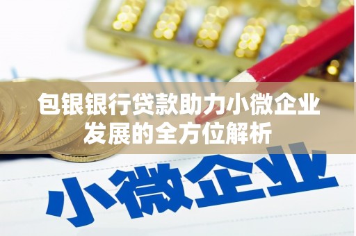 龙岗包银银行贷款助力小微企业发展的全方位解析