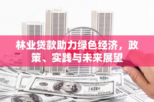 龙岗林业贷款助力绿色经济，政策、实践与未来展望