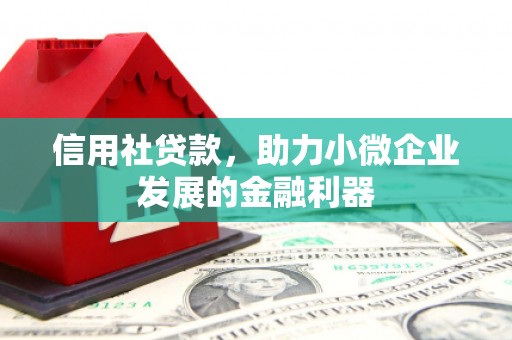 龙岗信用社贷款，助力小微企业发展的金融利器