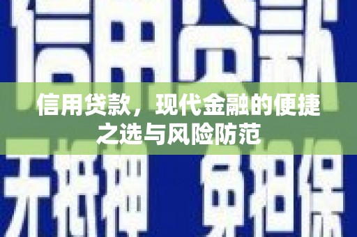 龙岗信用贷款，现代金融的便捷之选与风险防范