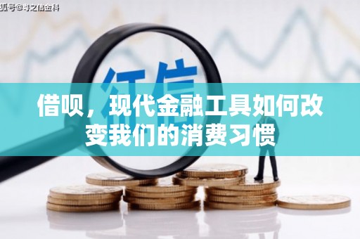 龙岗借呗，现代金融工具如何改变我们的消费习惯