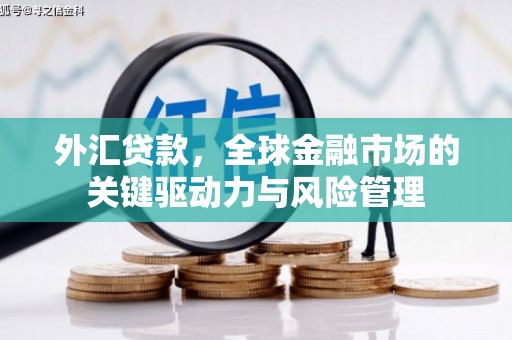 龙岗外汇贷款，全球金融市场的关键驱动力与风险管理