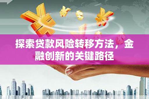 龙岗探索贷款风险转移方法，金融创新的关键路径