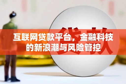 龙岗互联网贷款平台，金融科技的新浪潮与风险管控