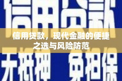 龙岗信用贷款，现代金融的便捷之选与风险防范