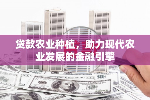 龙岗贷款农业种植，助力现代农业发展的金融引擎