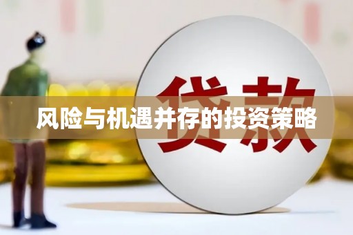 龙岗风险与机遇并存的投资策略