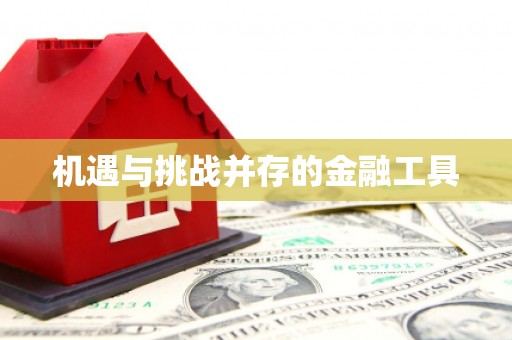 龙岗机遇与挑战并存的金融工具