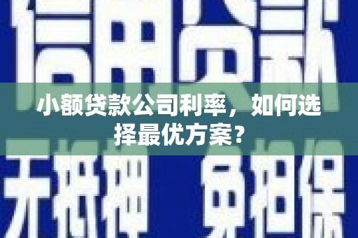 龙岗小额贷款公司利率，如何选择最优方案？