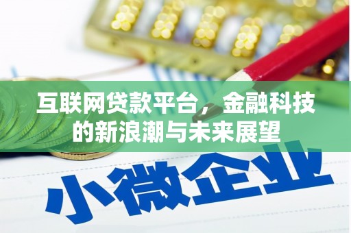 龙岗互联网贷款平台，金融科技的新浪潮与未来展望