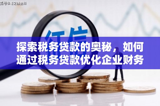 龙岗探索税务贷款的奥秘，如何通过税务贷款优化企业财务