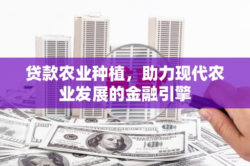龙岗贷款农业种植，助力现代农业发展的金融引擎