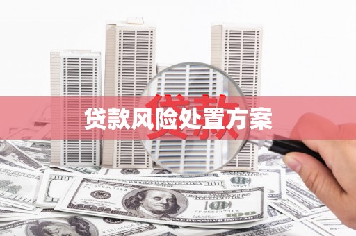 龙岗贷款风险处置方案