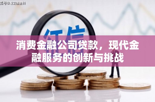 龙岗消费金融公司贷款，现代金融服务的创新与挑战