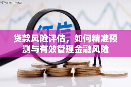 龙岗贷款风险评估，如何精准预测与有效管理金融风险