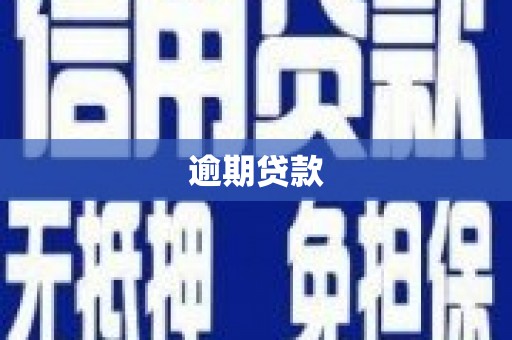 龙岗逾期贷款