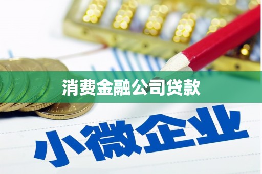 龙岗消费金融公司贷款