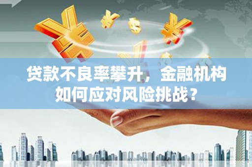 龙岗贷款不良率攀升，金融机构如何应对风险挑战？
