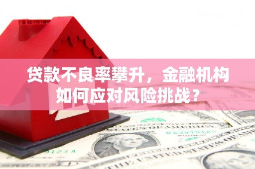龙岗贷款不良率攀升，金融机构如何应对风险挑战？