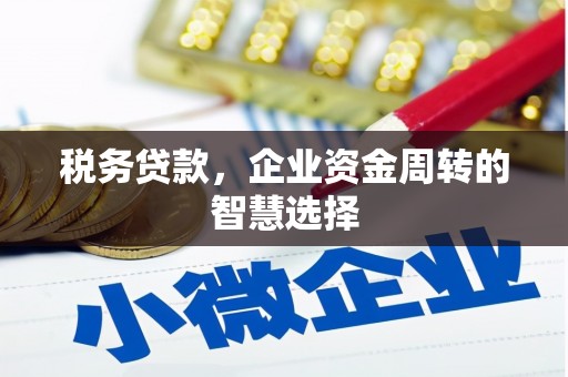 龙岗税务贷款，企业资金周转的智慧选择