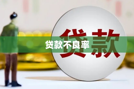 龙岗贷款不良率