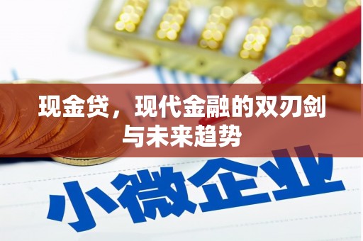 龙岗现金贷，现代金融的双刃剑与未来趋势