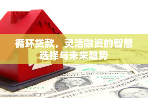 龙岗循环贷款，灵活融资的智慧选择与未来趋势