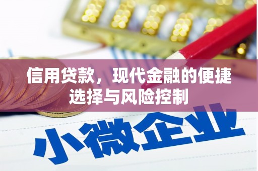 龙岗信用贷款，现代金融的便捷选择与风险控制