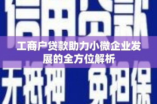 龙岗工商户贷款助力小微企业发展的全方位解析