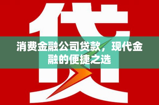 龙岗消费金融公司贷款，现代金融的便捷之选