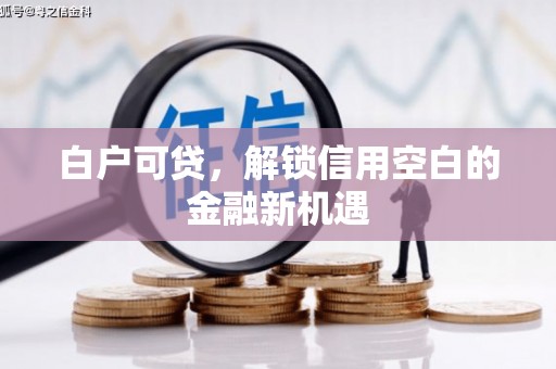 龙岗白户可贷，解锁信用空白的金融新机遇