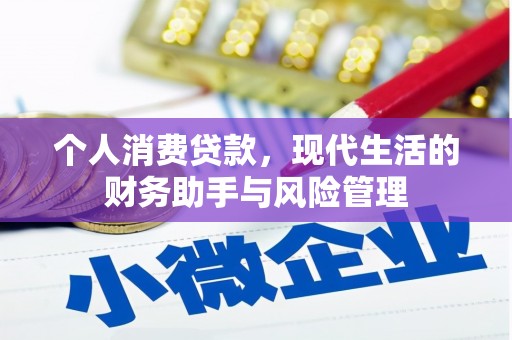 龙岗个人消费贷款，现代生活的财务助手与风险管理