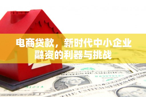 龙岗电商贷款，新时代中小企业融资的利器与挑战