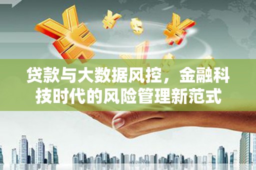 龙岗贷款与大数据风控，金融科技时代的风险管理新范式