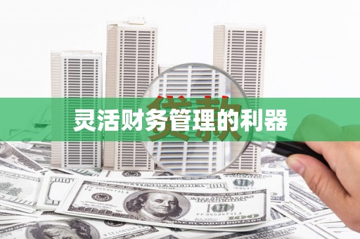 龙岗灵活财务管理的利器