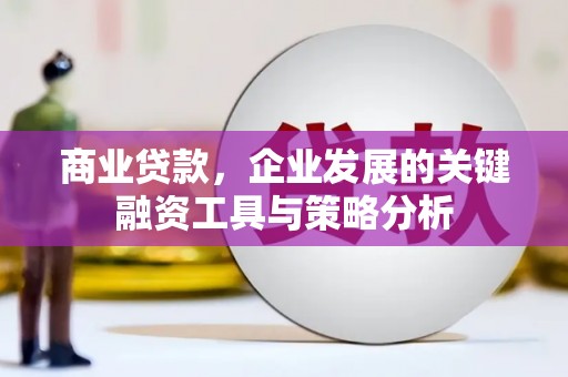 龙岗商业贷款，企业发展的关键融资工具与策略分析