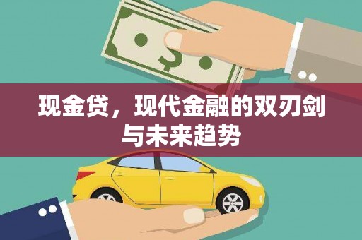 龙岗现金贷，现代金融的双刃剑与未来趋势